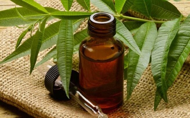 Tea tree oil - ľudový liek na zbavenie sa bradavíc na penise